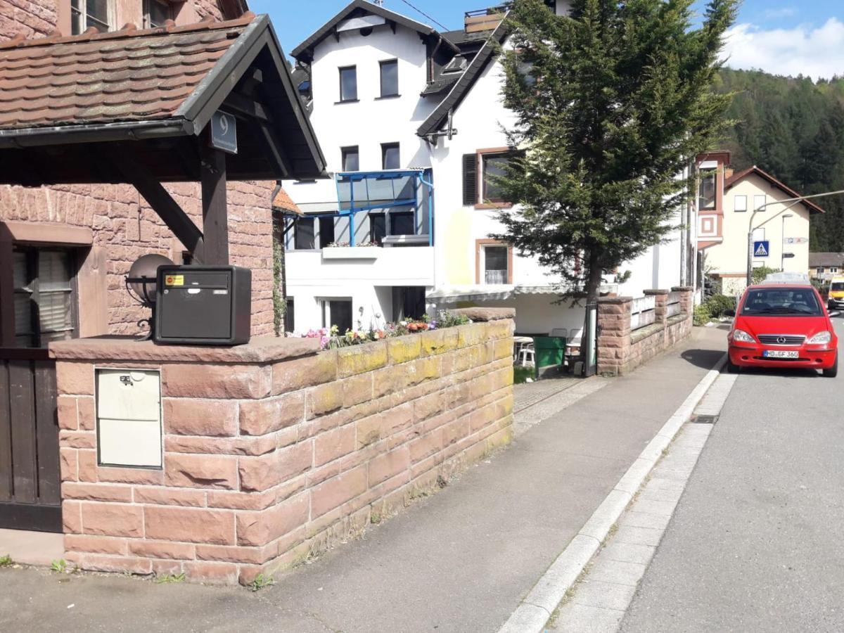 Grosse Wohnung Im Odenwald 1 Schonau  Eksteriør billede